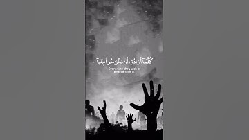 القارئ | شريف مصطفى🤎 #سورة_السجدة #أجر_لي_ولكم #foryou #viral #fypシ #islamicprayer