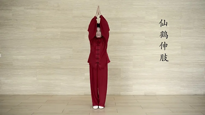 Nine Animals Hui Chun Gong Madame Mok Chong Meng
