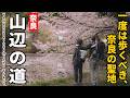 ［ハイキング］日本最古の道をゆく。奈良の「山の辺の道」が、歴史散策とハイキングに最高すぎるルートだった。～天理駅から柳本駅へ～