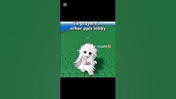 Two types of VR players in roblox.. 💀😭