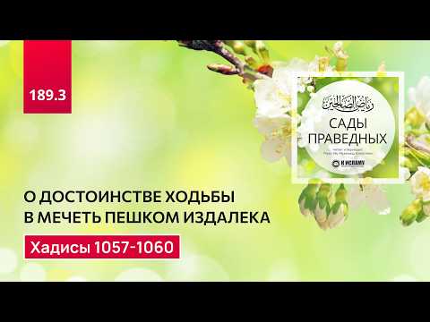 189.3 Сады праведных. О достоинстве ходьбы в мечеть пешком. Хадисы 1057-1060
