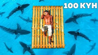:  100  Ų   (GTA V)