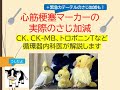 心筋梗塞マーカーの実際のさじ加減(CK、CK-MB、トロポニンT、ラピチェックなど循環器内科医が解説します)