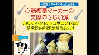 心筋梗塞マーカーの実際のさじ加減(CK、CK-MB、トロポニンT、ラピチェックなど循環器内科医が解説します)