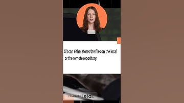 What is Git Repository