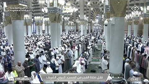صلاة الفجر للشيخ د. #عبدالمحسن_القاسم 21 جمادى الأولى 1446هـ من سورة الإسراء 9-22 #المسجد_النبوي
