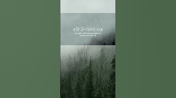 تلاوة من سورة فاطر