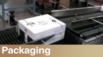 Shuttleworth - Candy Box Stacking Conveyor