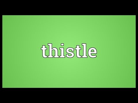 Thistle Meaning