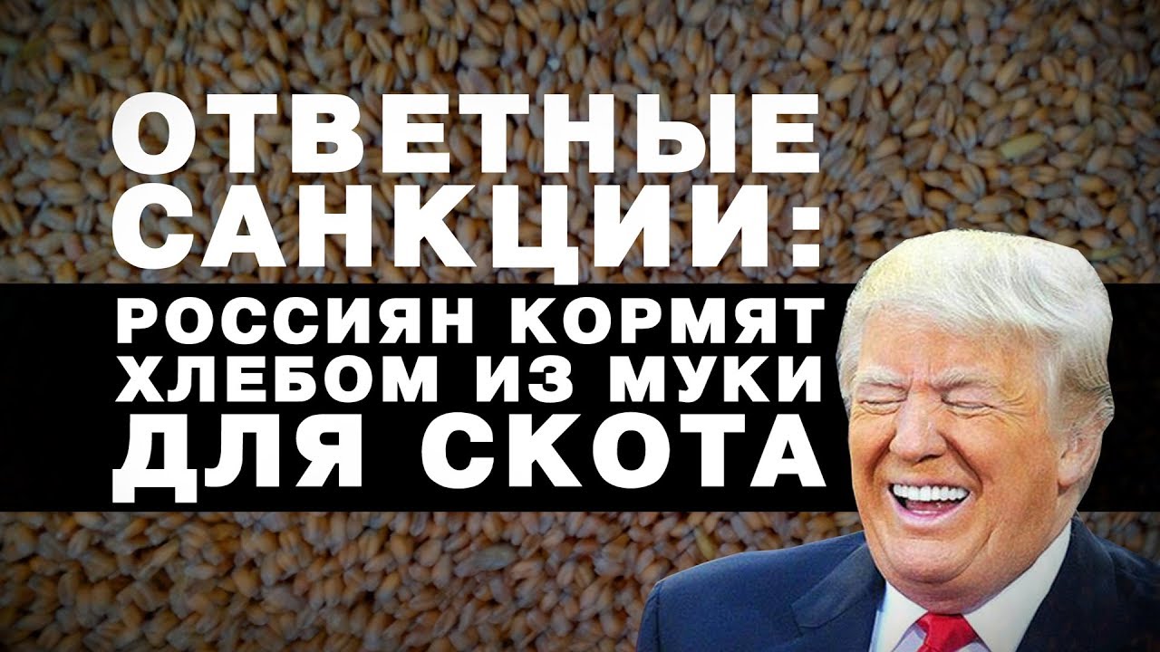 Мультсанкции от США для России (видео) Мультсанкции от США для России (видео)