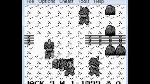 GSCentral.org - Ninja Boy (GB) - Invulnerability (GG)