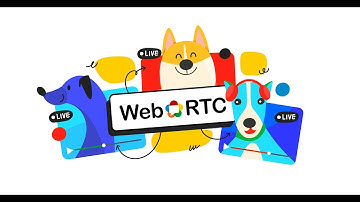 MediaMTX — Stream Any Local Video to a Webpage (Local Network & Internet)