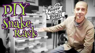 My DIY Ball Python Rack Setup