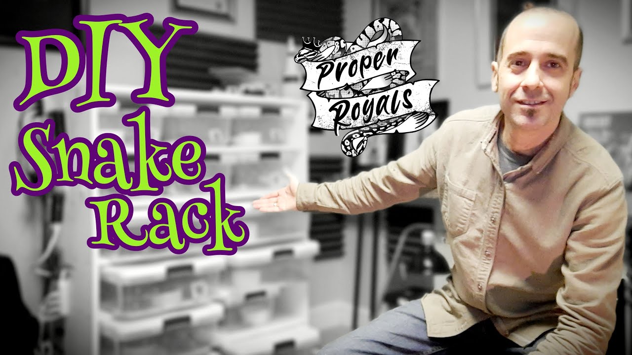 My DIY Ball Python Rack Setup YouTube