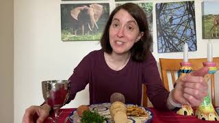 TBS Passover Seder for Families with Young Children