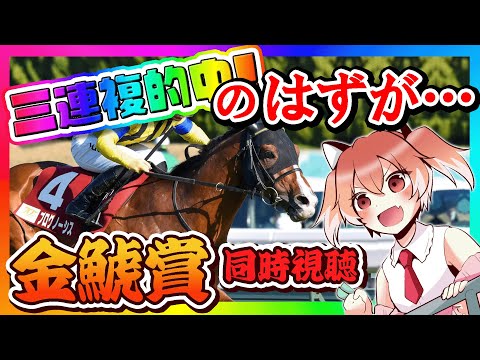 【金鯱賞】三連複的中の裏でまさかあんなことが起こっていたとは…【Vtuber/古月アイル】競馬