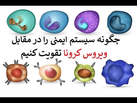 تصویری: آیا نوشیدن آبجو بدون الکل برای مادران شیرده امکان پذیر است