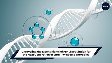 Unraveling the Mechanisms of PD-L1 Regulation for the Next Generation of Small-Molecule Therapies