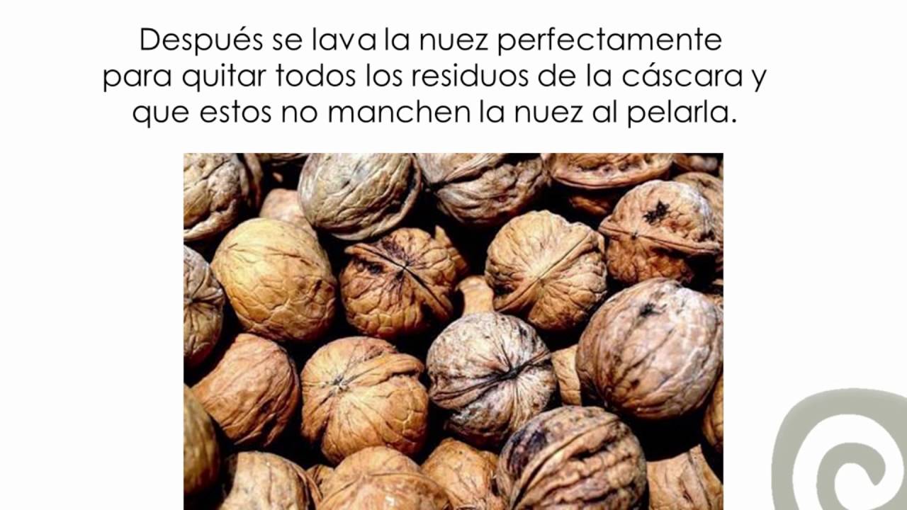 Proceso Nuez de Castilla YouTube Proceso Nuez de Castilla YouTube