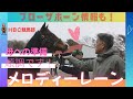 【岡田スタッド25春】メロディーレーン＆デアリングタクト初仔登場！ホウオウビスケッツ次走報