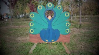 Job s Nursery Pumpkin Patch Festival Event