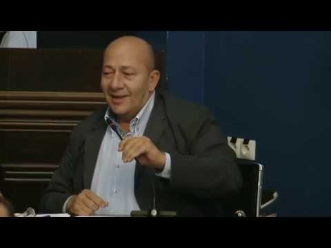 ირაკლი პეტრიაშვილის პოზიცია საკომიტეტო მოსმენაზე