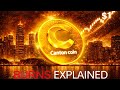 Canton Network Burning Coins to Hit Equilibrium: Here's Why That's Genius