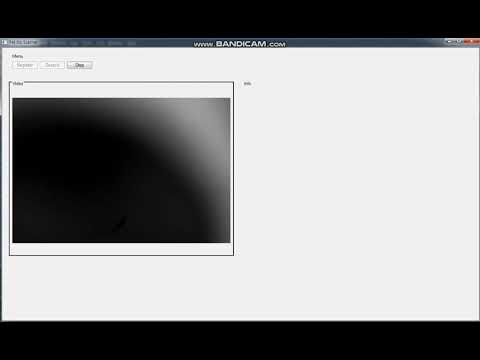 Animal iris recognition