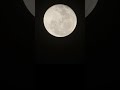 Saturn and the Moon playing hide-and-seek through my telescope occultation #astronomy  #telescope