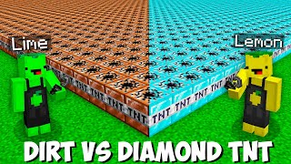 What if you LIGHT 1000 DIAMOND TNT VS 1000 DIRT TNT in Minecraft ? LEMON VS LIME TNT BATTLE !