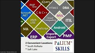 Data Validation, SubTotal, Pivot Table| Learn Excel with the Excel Experts