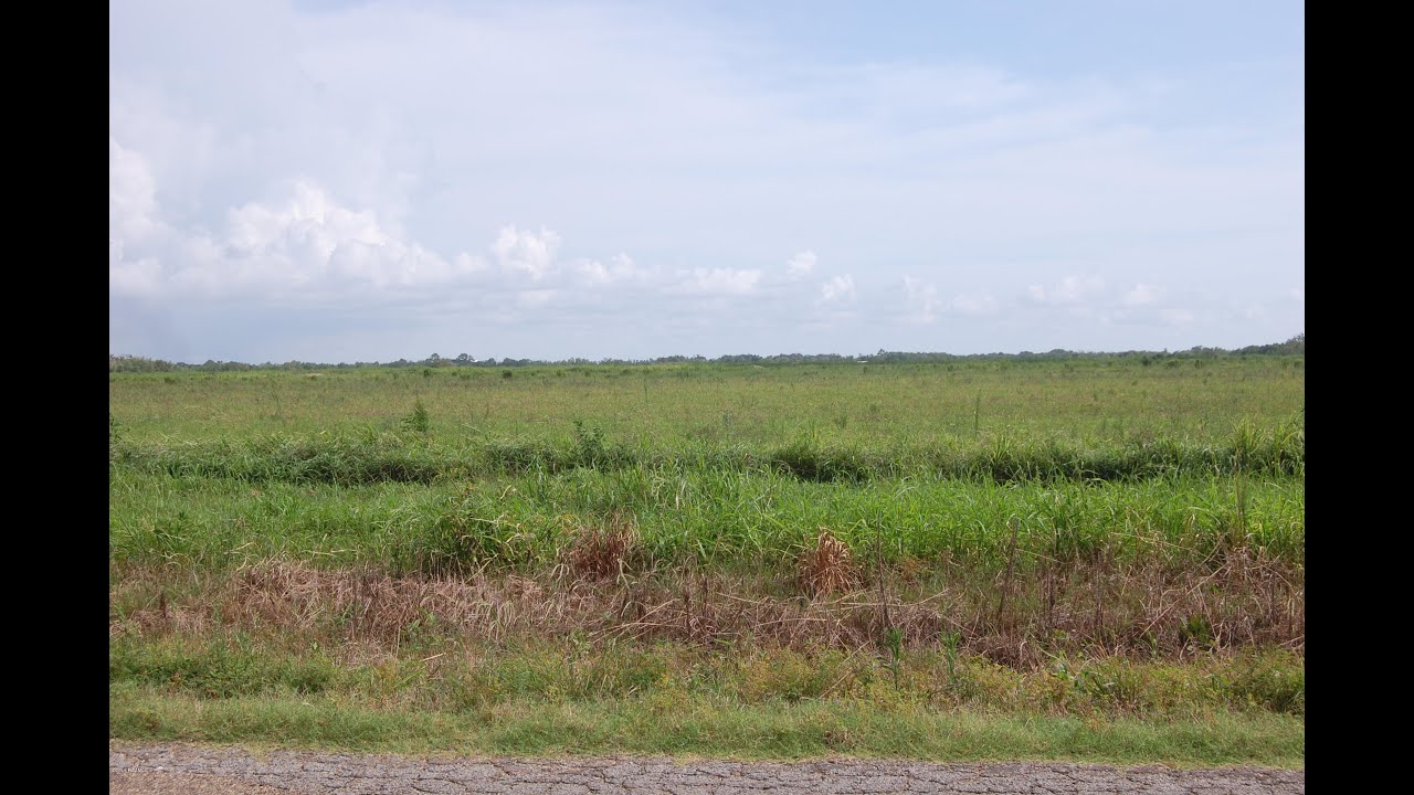 Lot 4 Par Rd 120 for sale in Lake Arthur, LA 70549 Commercial YouTube