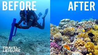 How Scientists Are Restoring The Great Barrier Reef | Travel + Leisure