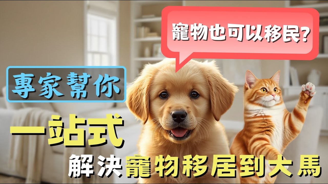牠不是行李，是家人 🐶🐱專家協助你 👩‍💼安心帶寵物🐾一起移居🇲🇾馬來西亞