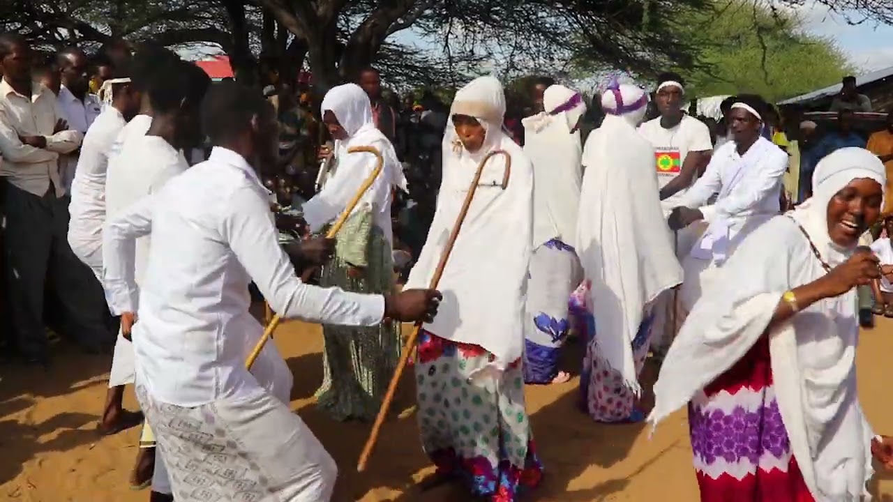 WATCH: Beautiful Orma cultural dance by Wachole Dancers .