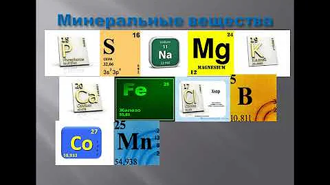 Петрова Ю.Н. Морфология и физиология микроорганизмов