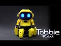 CIC Kits - Tobbie the Robot