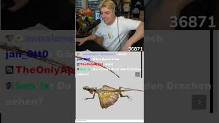 @papaplatte und der Drache @Krokojones #fy #fyp #papaplatte #fürdich #drache #dragon #funny #gtgc