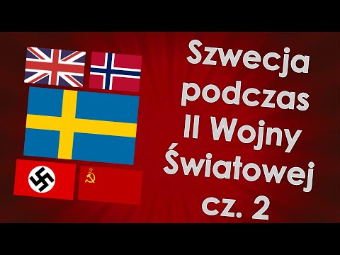 Wideo: Sierpień 2008. Wojna w powietrzu