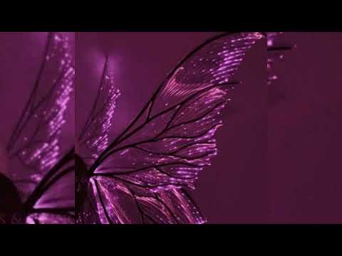 Lucky Crying City Audio 