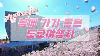 [한국어] 벚꽃 보러가기 좋은 봄의 도쿄 여행지