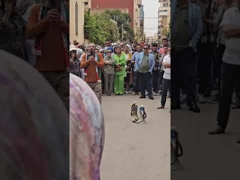 كلمة حلوط عبدالقادر في الوقفة الجهوية لموظفي الصحة بوجدة