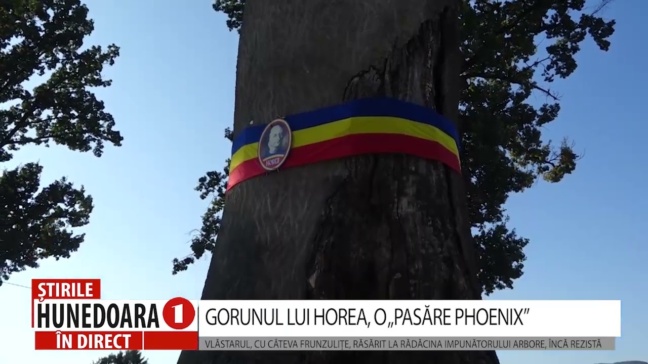 GORUNUL LUI HOREA, O „PASĂRE PHOENIX”
