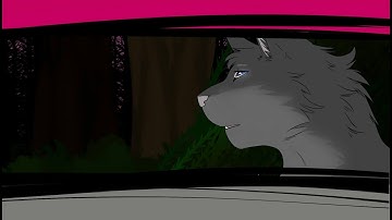 This is Home | Cinderpelt Warriors PMV MAP .: Part 3 :.