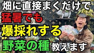 【賢い人だけ得をする】これから猛暑も怖くない!超おすすめ野菜の種教えます    【園芸】【家庭菜園】【初心者】