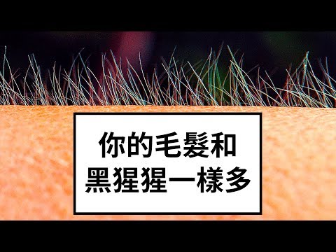 14個鮮為人知的驚奇人體事實