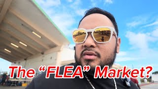Are there really FLEAS here 