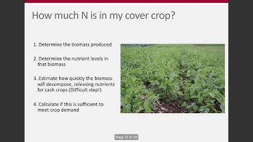 Week 13 - Estimating N from Cover Crops (ENR 5270)