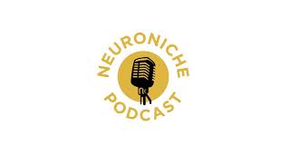 How to Hire the Best Remote Developers for Long-Term Success | Deep Dive Podcast