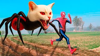 Homem-Aranha E O Gato Aranha Malvado - Filme Completo De Super-Heróis